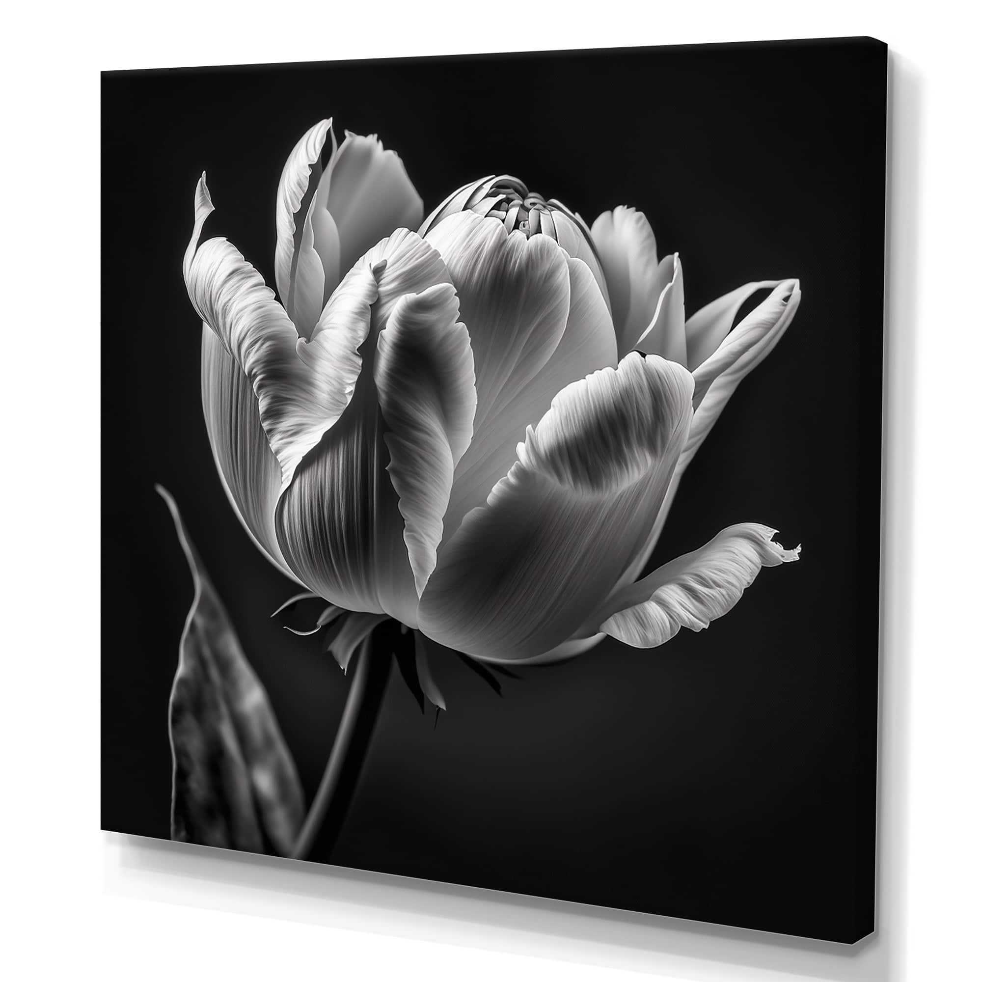 Designart "Closeup Of Black And White Tulip II" Floral Tulip Canvas Wall Art Bed Bath